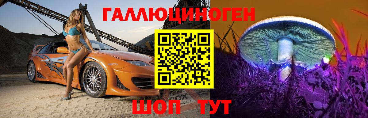 Псилоцибиновые грибы GOLDEN TEACHER  Вход с VPN  Псилоцибиновые грибы прущие грибы  Усть-Джегута 
